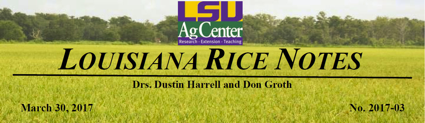 2017 Louisiana Rice Field Notes #3
